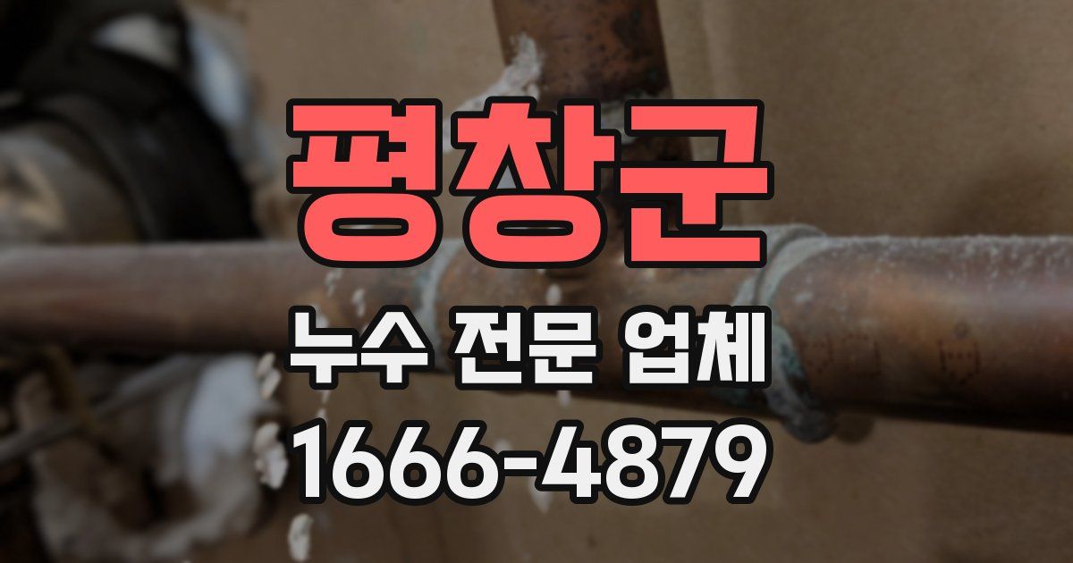 평창군 누수 전문 업체