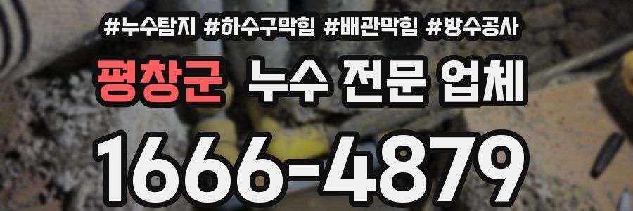 평창군 누수 전문 업체