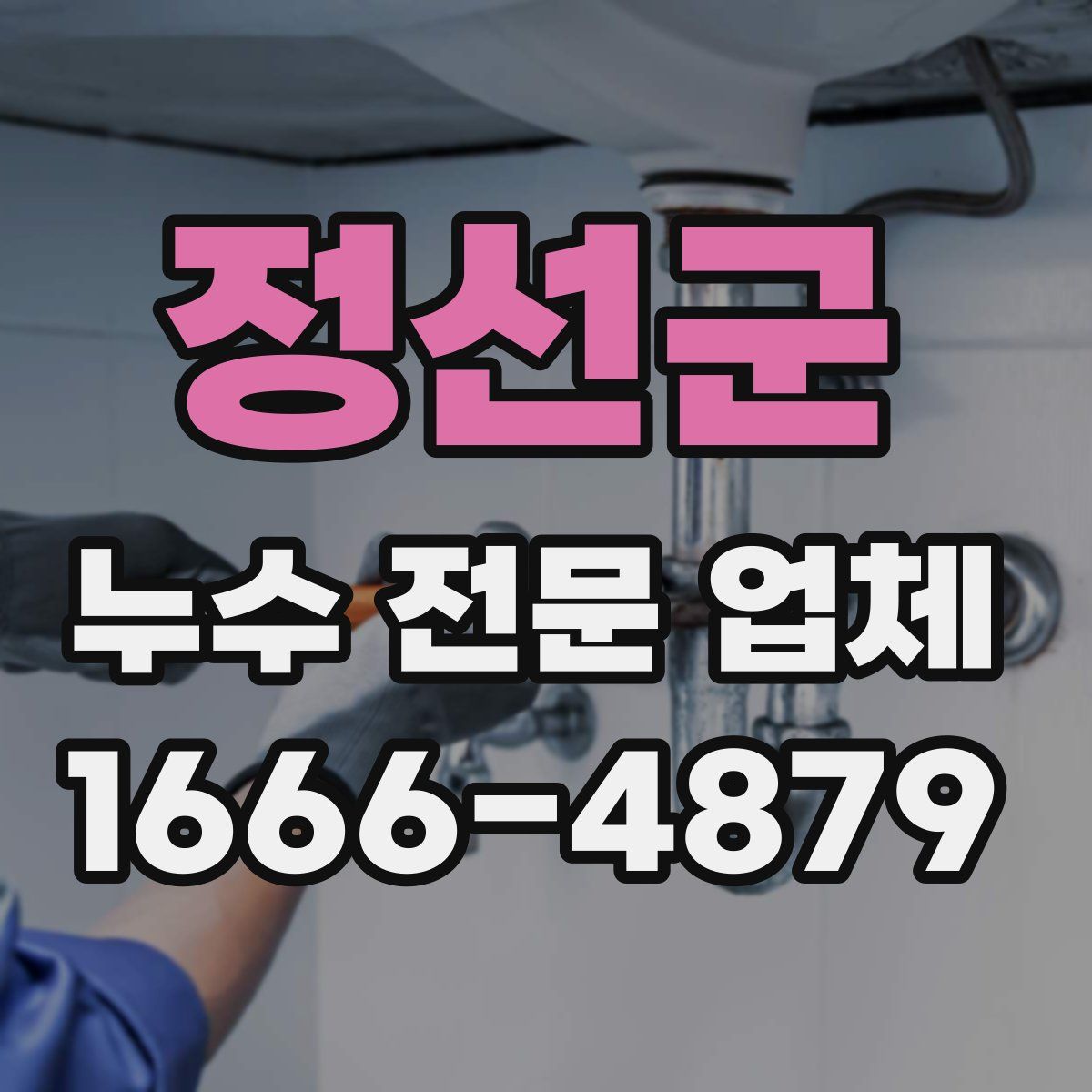 정선군 누수 전문 업체