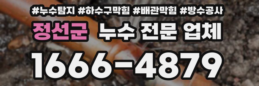 정선군 누수 전문 업체