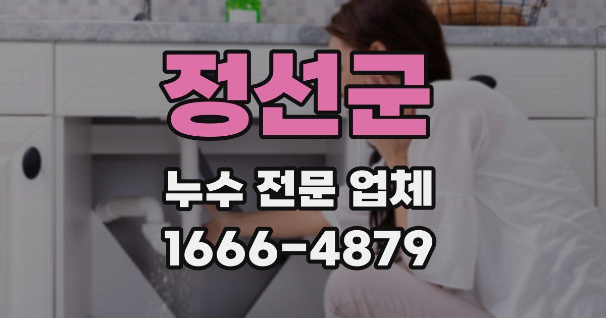 정선군 누수 전문 업체