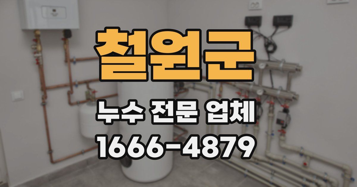 철원군 누수 전문 업체