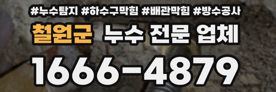 철원군 누수 전문 업체
