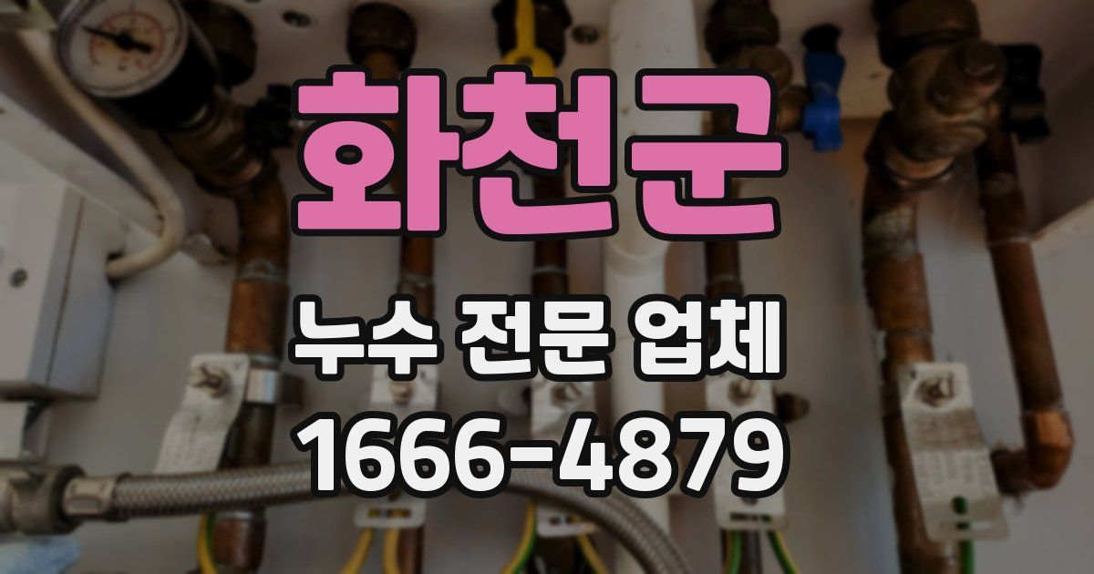 화천군 누수 전문 업체