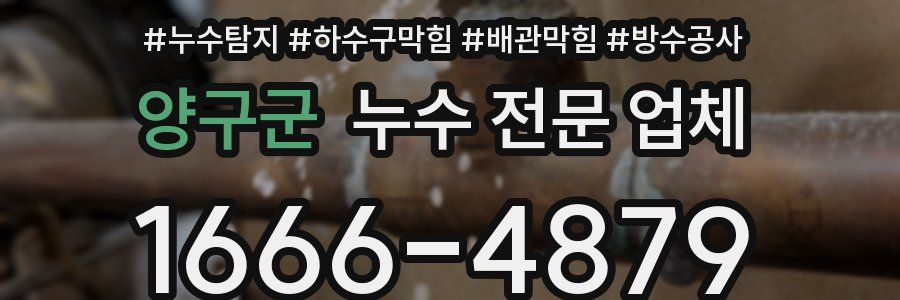 양구군 누수 전문 업체