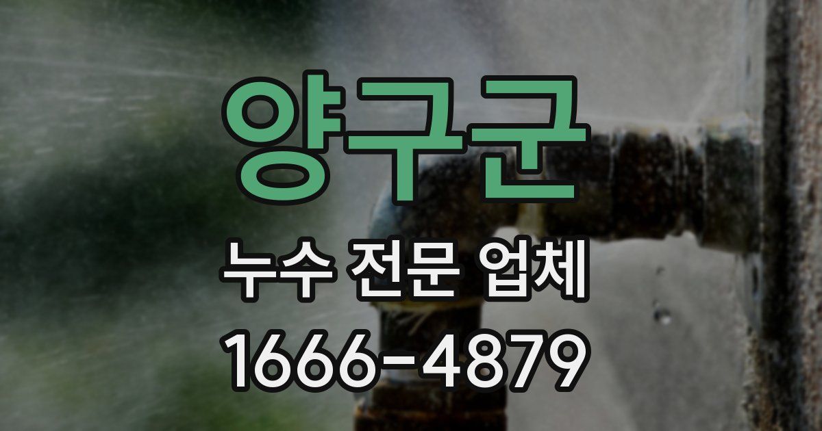 양구군 누수 전문 업체