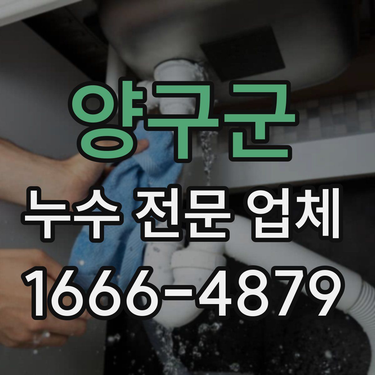 양구군 누수 전문 업체