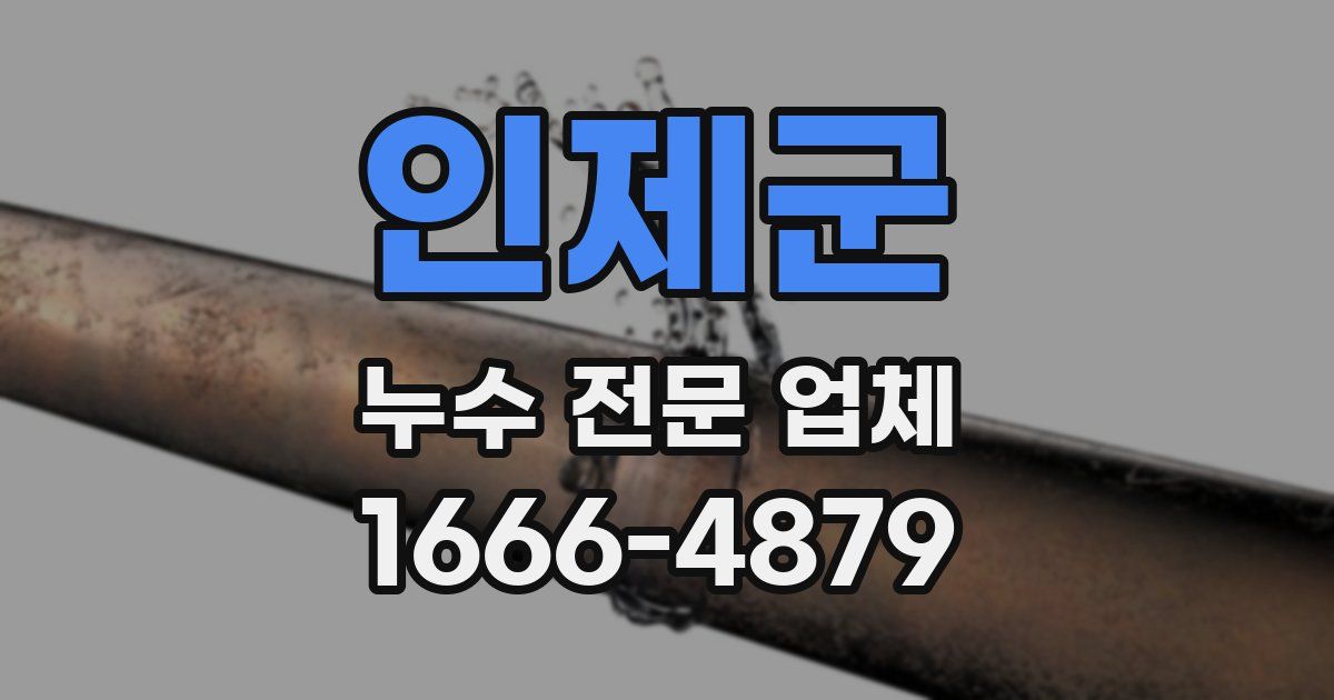 인제군 누수 전문 업체