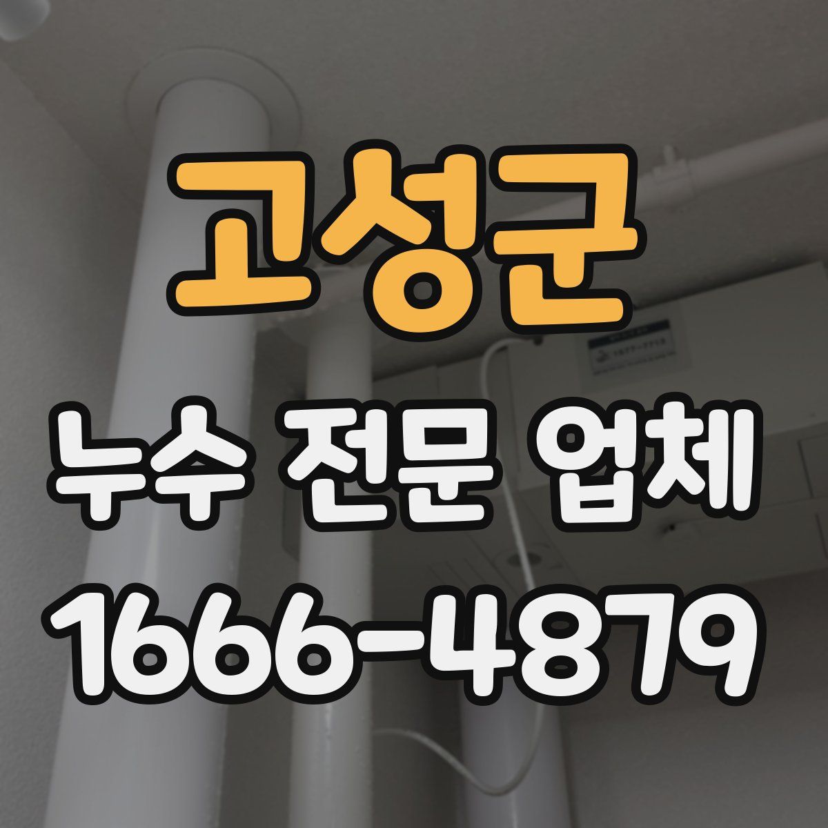 고성군 누수 전문 업체