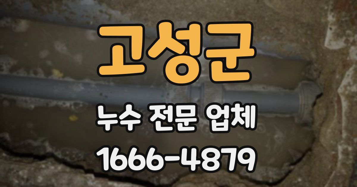 고성군 누수 전문 업체