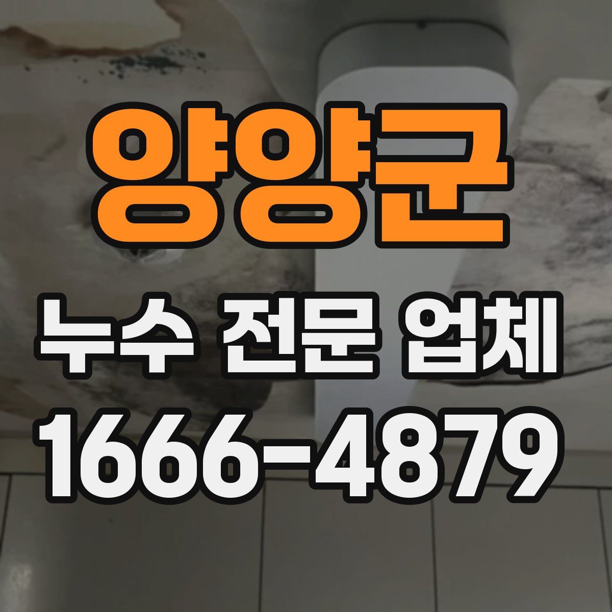 양양군 누수 전문 업체