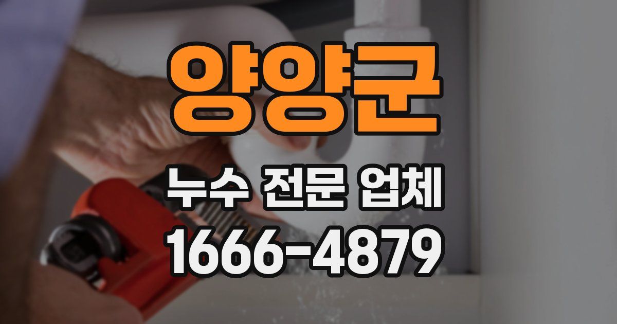 양양군 누수 전문 업체