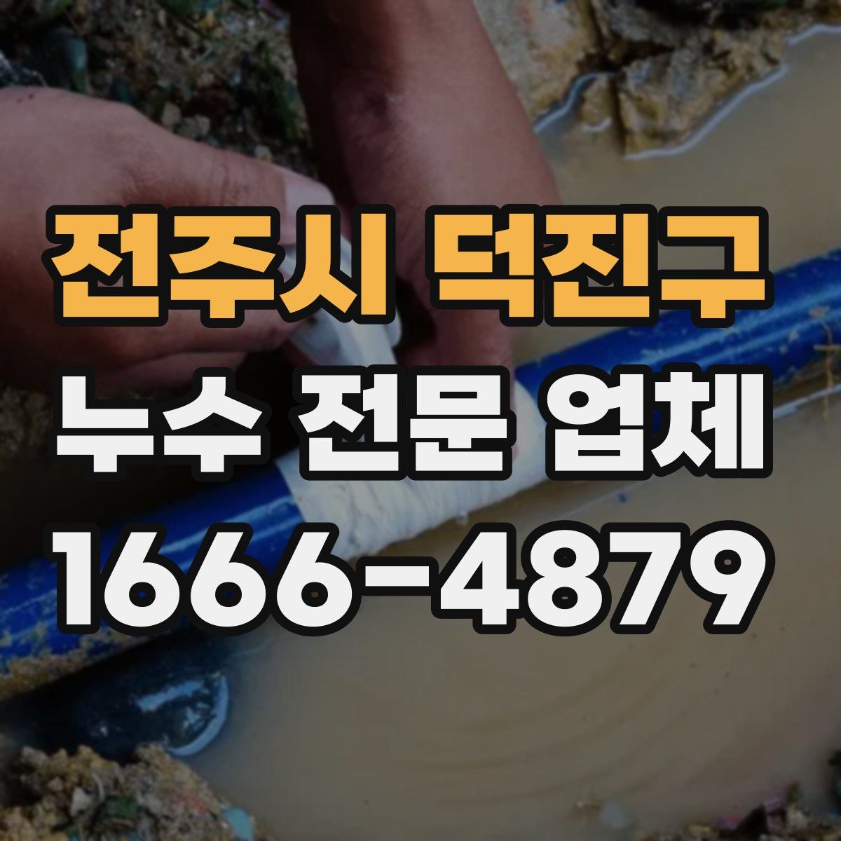 전주시 덕진구 누수 전문 업체