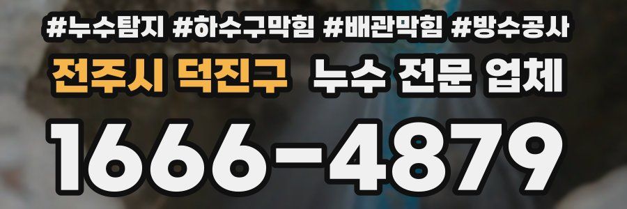 전주시 덕진구 누수 전문 업체
