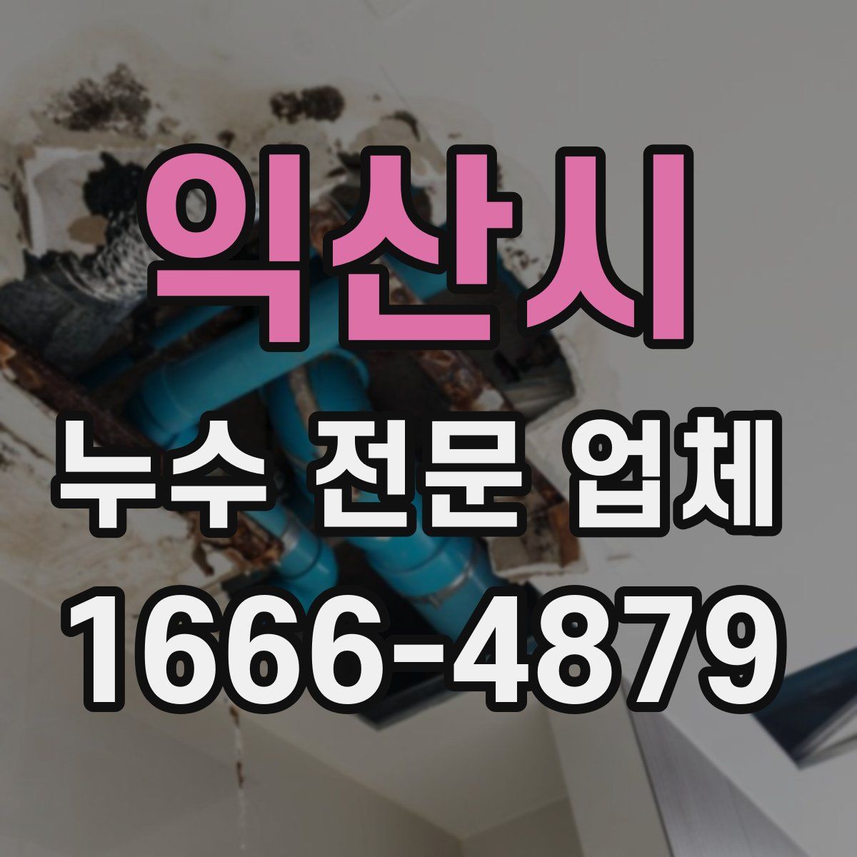 익산시 누수 전문 업체