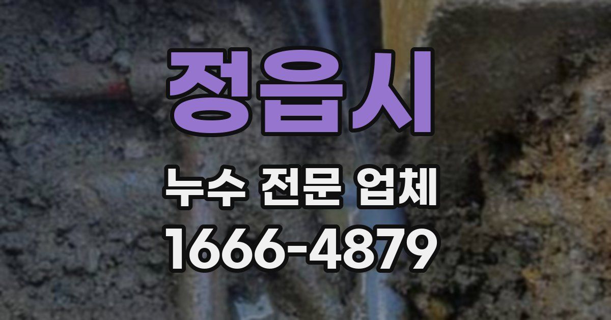 정읍시 누수 전문 업체