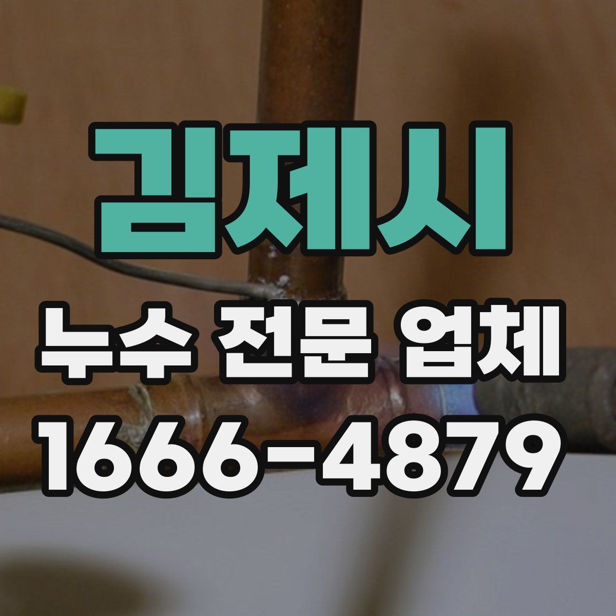 김제시 누수 전문 업체