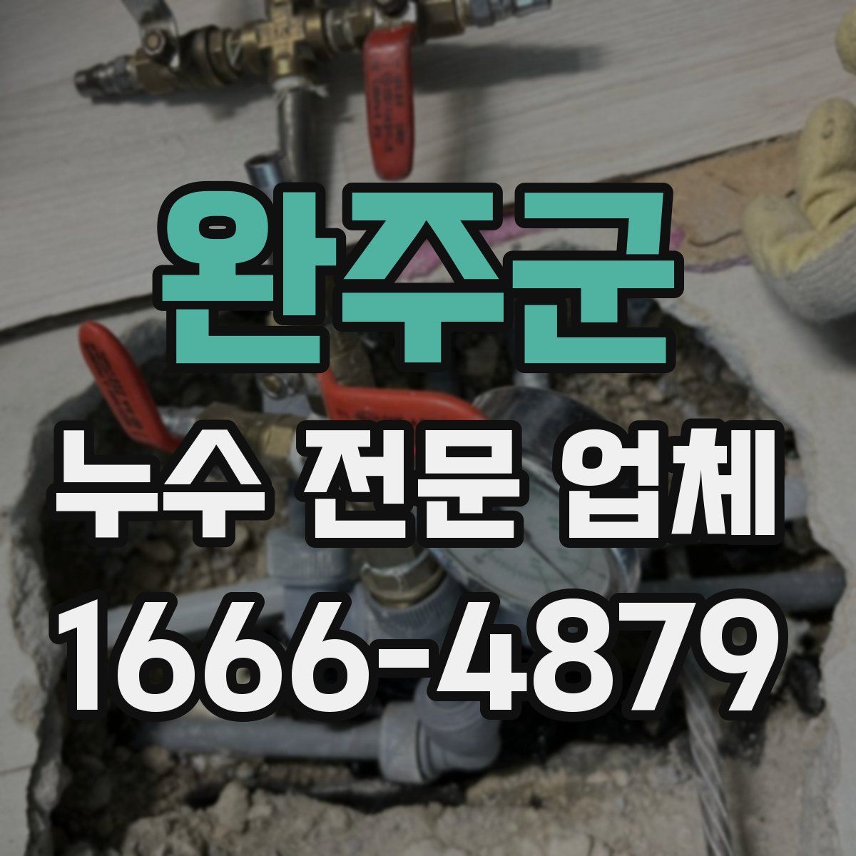완주군 누수 전문 업체