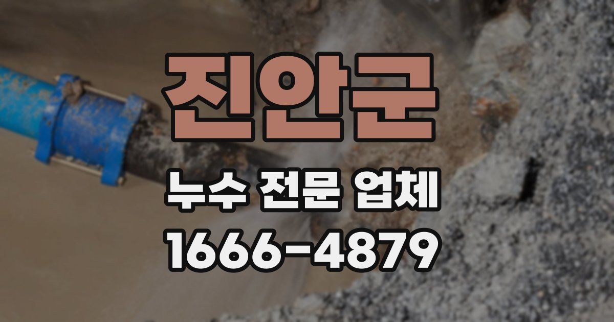 진안군 누수 전문 업체