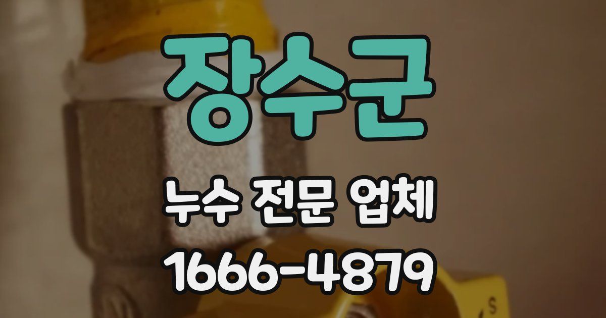 장수군 누수 전문 업체