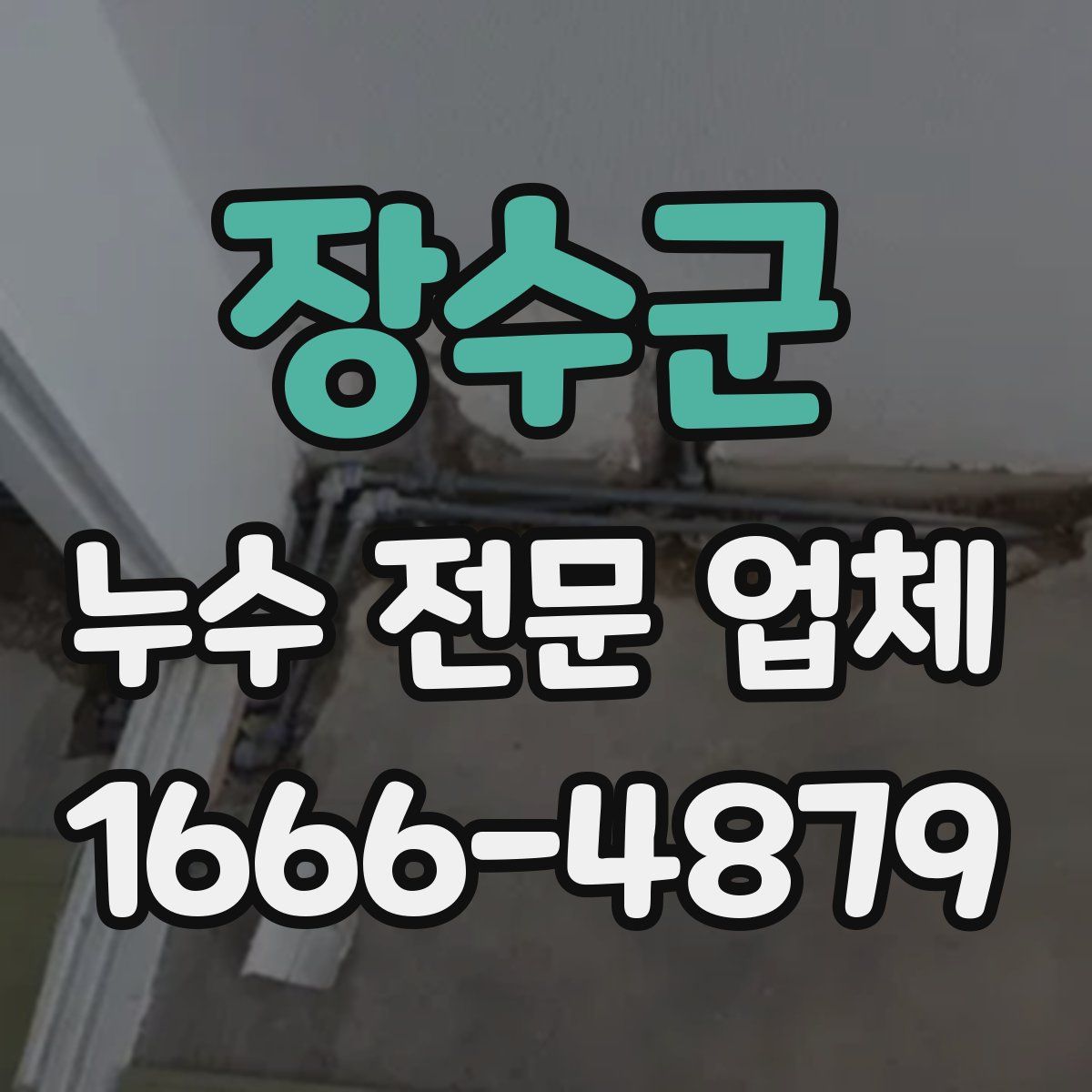 장수군 누수 전문 업체