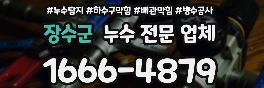 장수군 누수 전문 업체