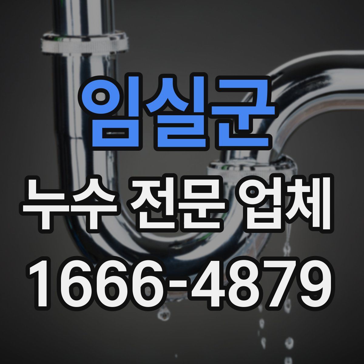 임실군 누수 전문 업체