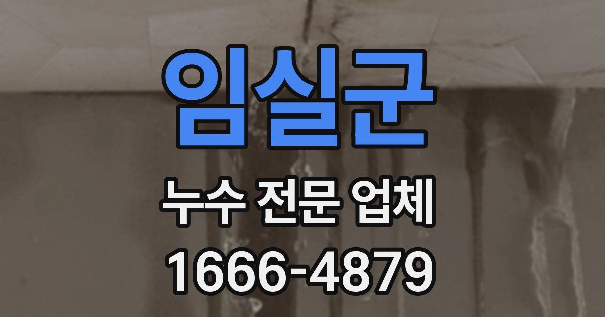 임실군 누수 전문 업체