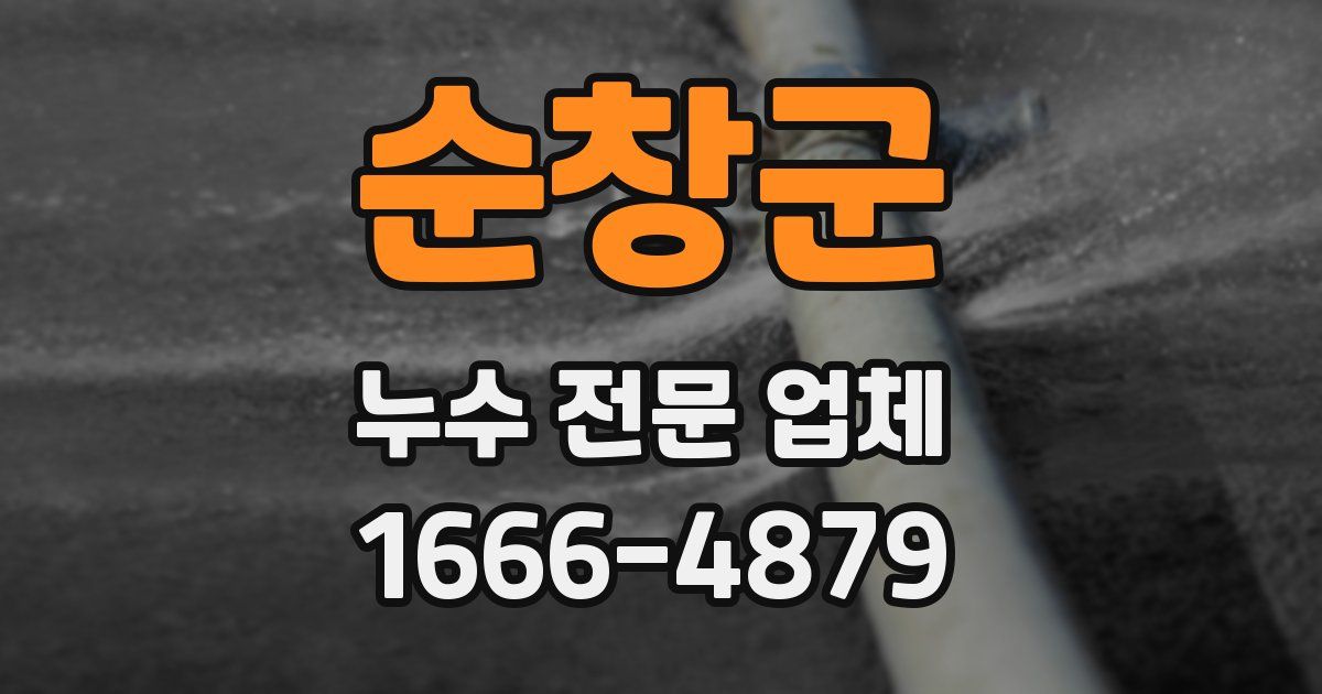 순창군 누수 전문 업체