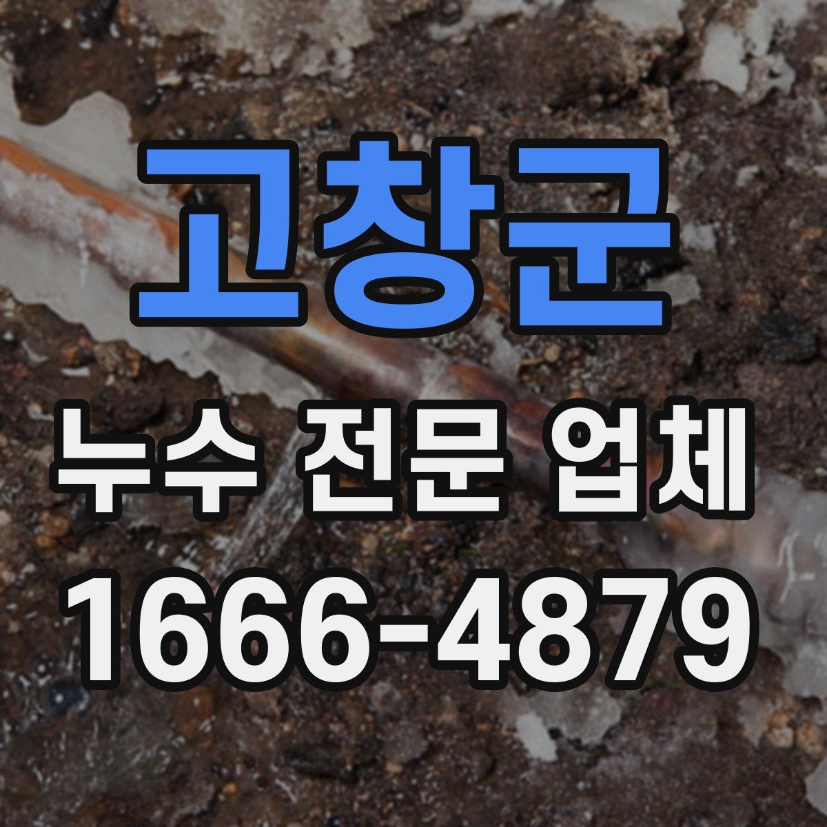 고창군 누수 전문 업체