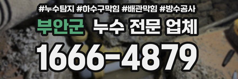 부안군 누수 전문 업체