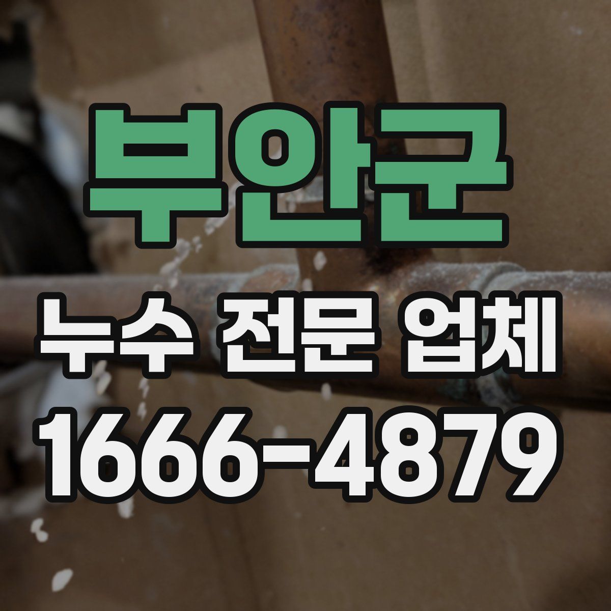 부안군 누수 전문 업체
