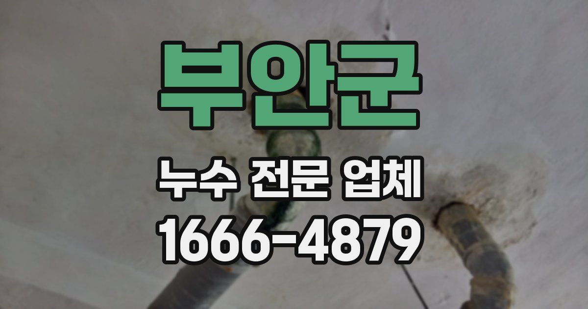 부안군 누수 전문 업체