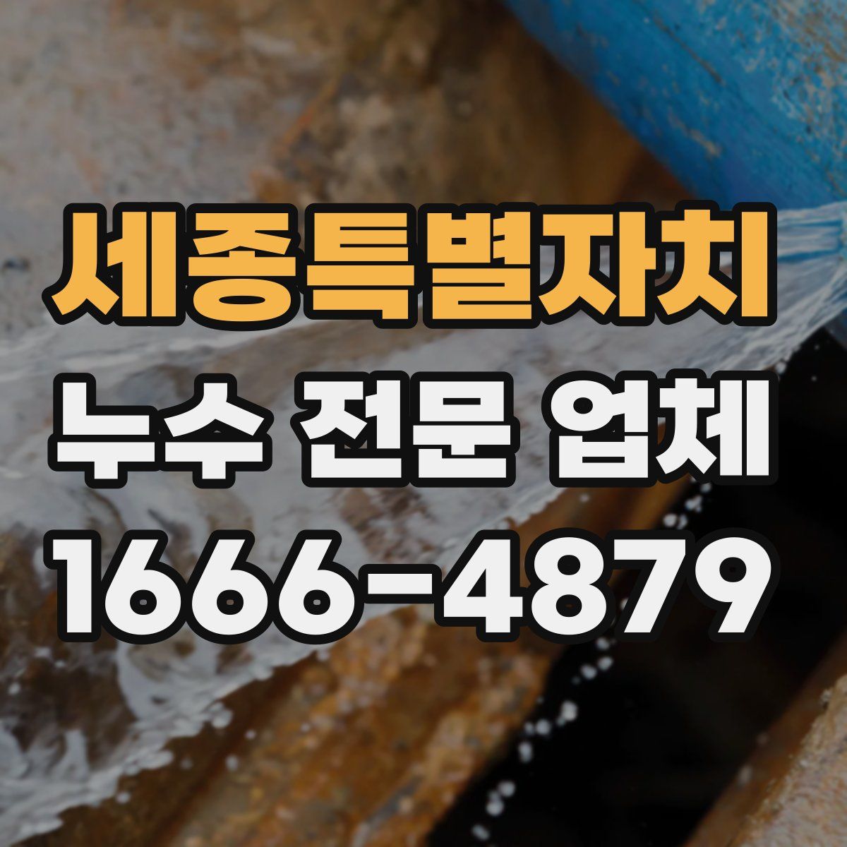 세종특별자치 누수 전문 업체