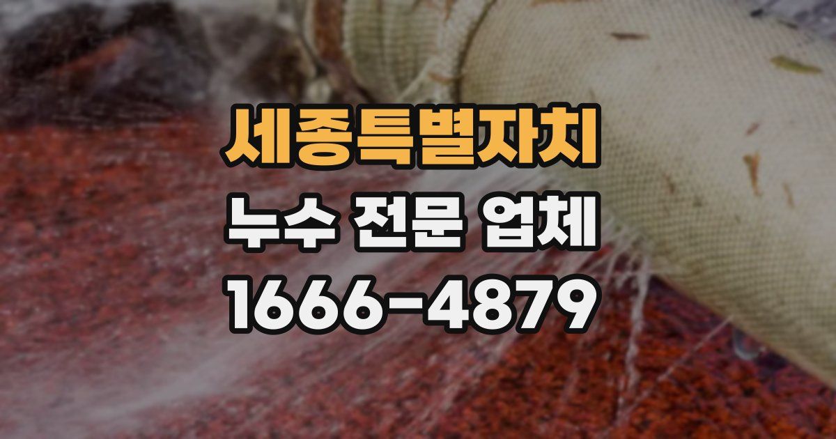 세종특별자치 누수 전문 업체