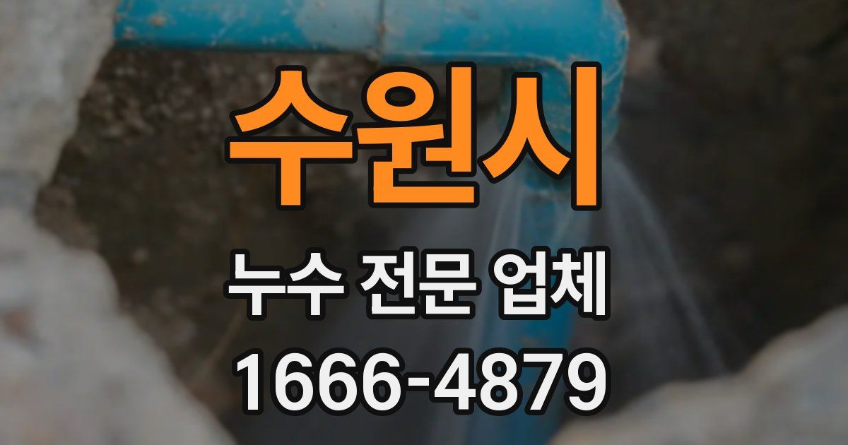 수원시 누수 전문 업체