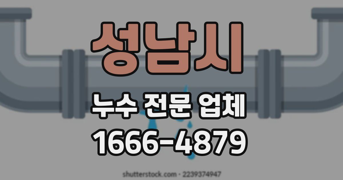 성남시 누수 전문 업체