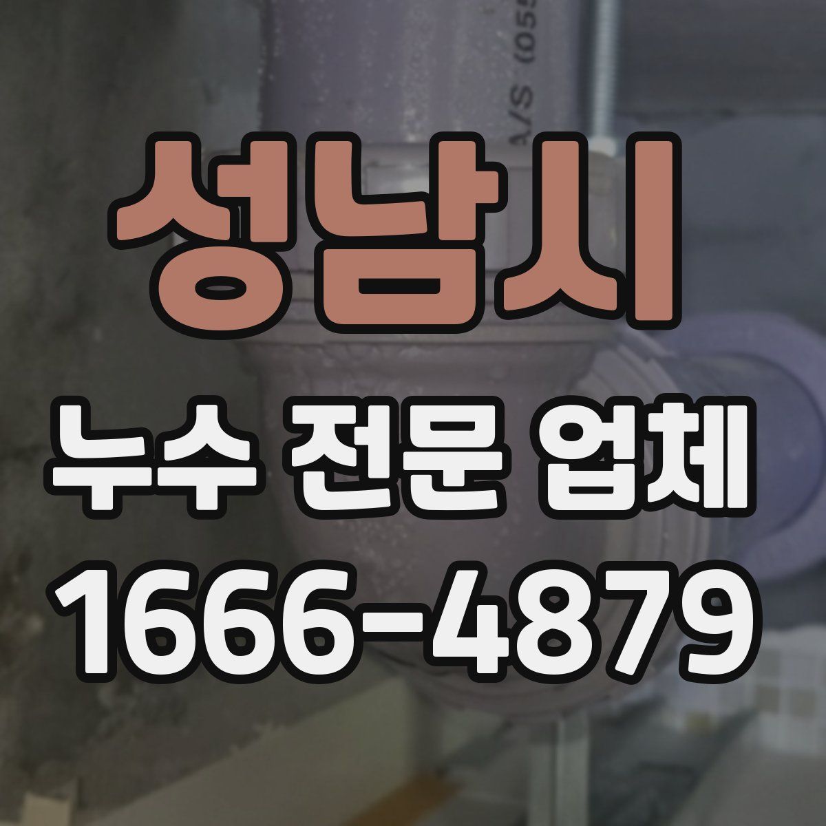 성남시 누수 전문 업체