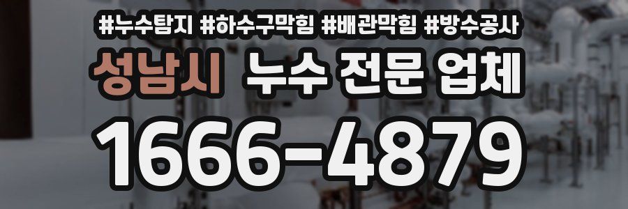 성남시 누수 전문 업체