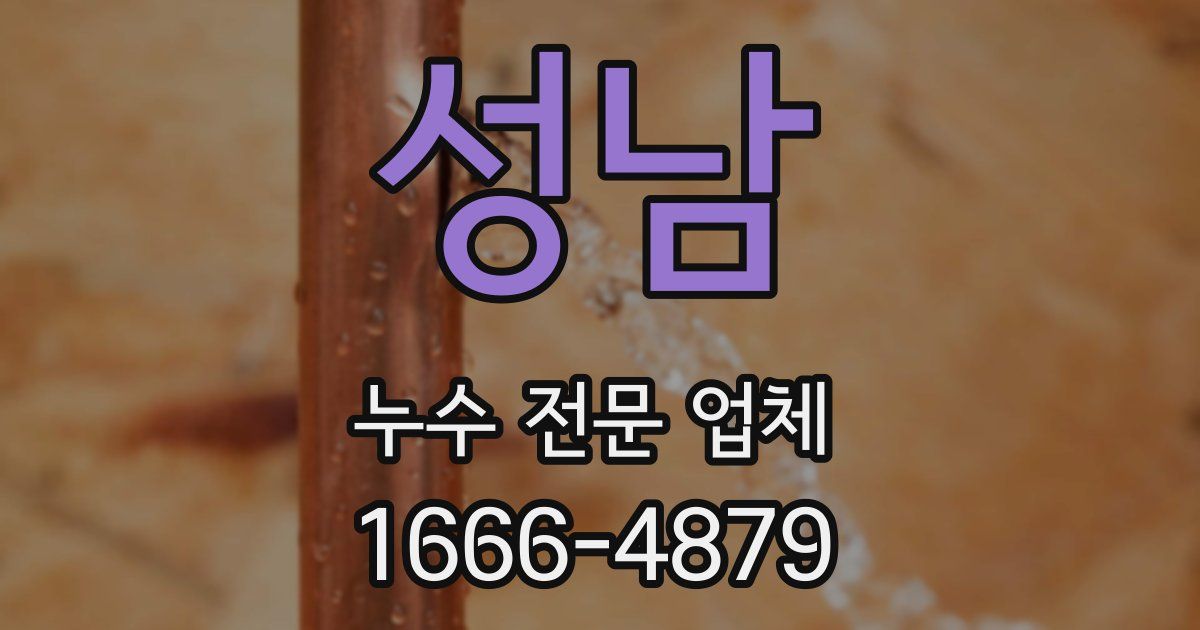 성남 누수 전문 업체