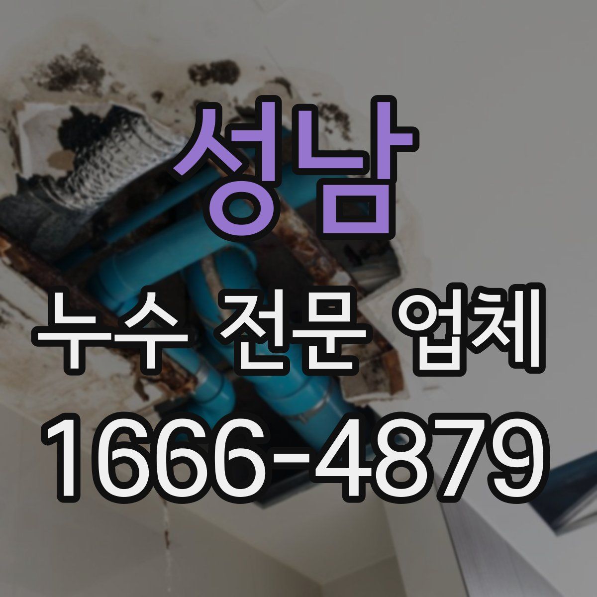 성남 누수 전문 업체