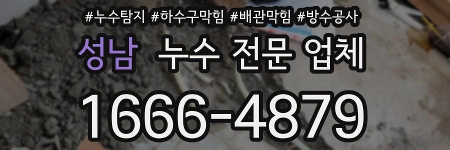 성남 누수 전문 업체