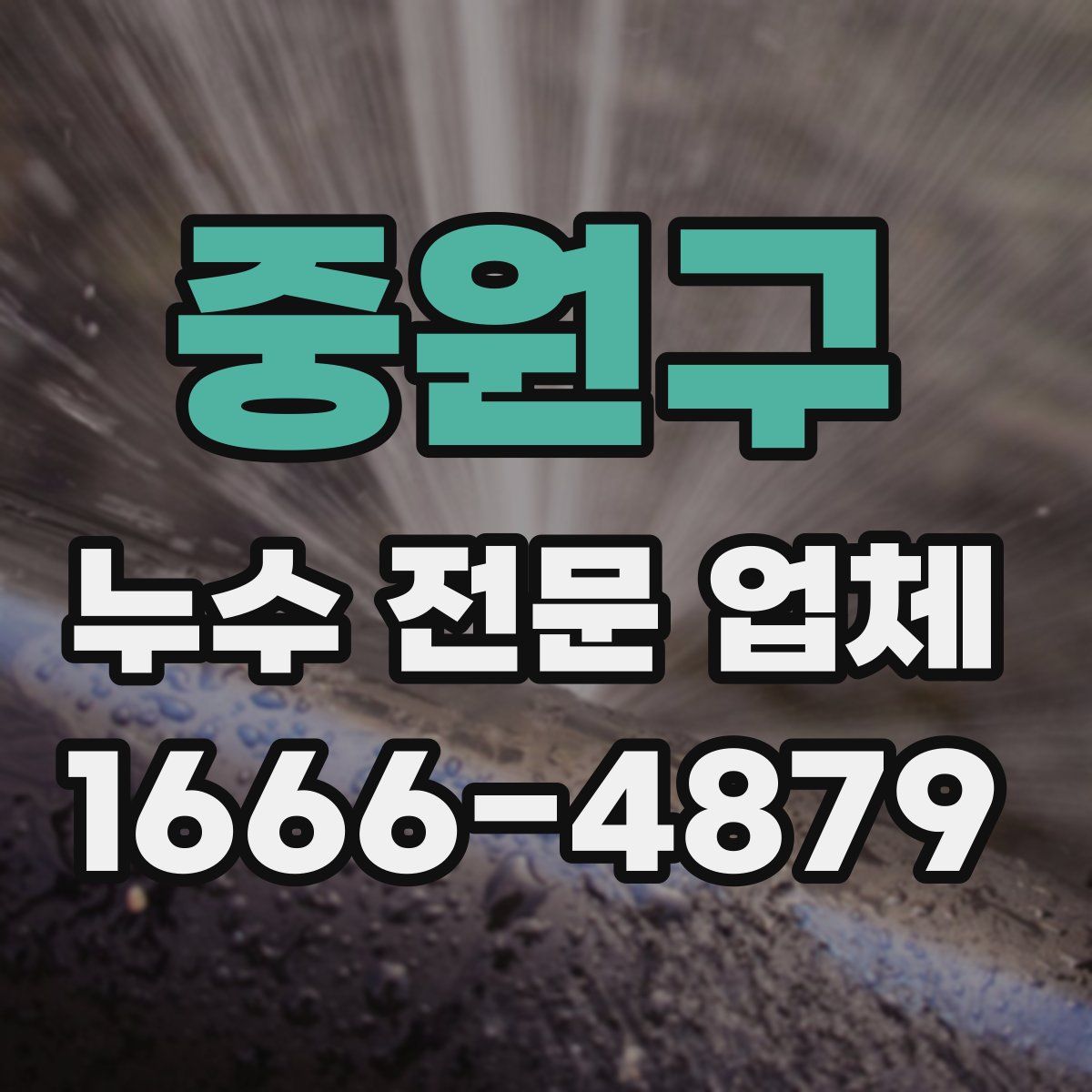 중원구 누수 전문 업체