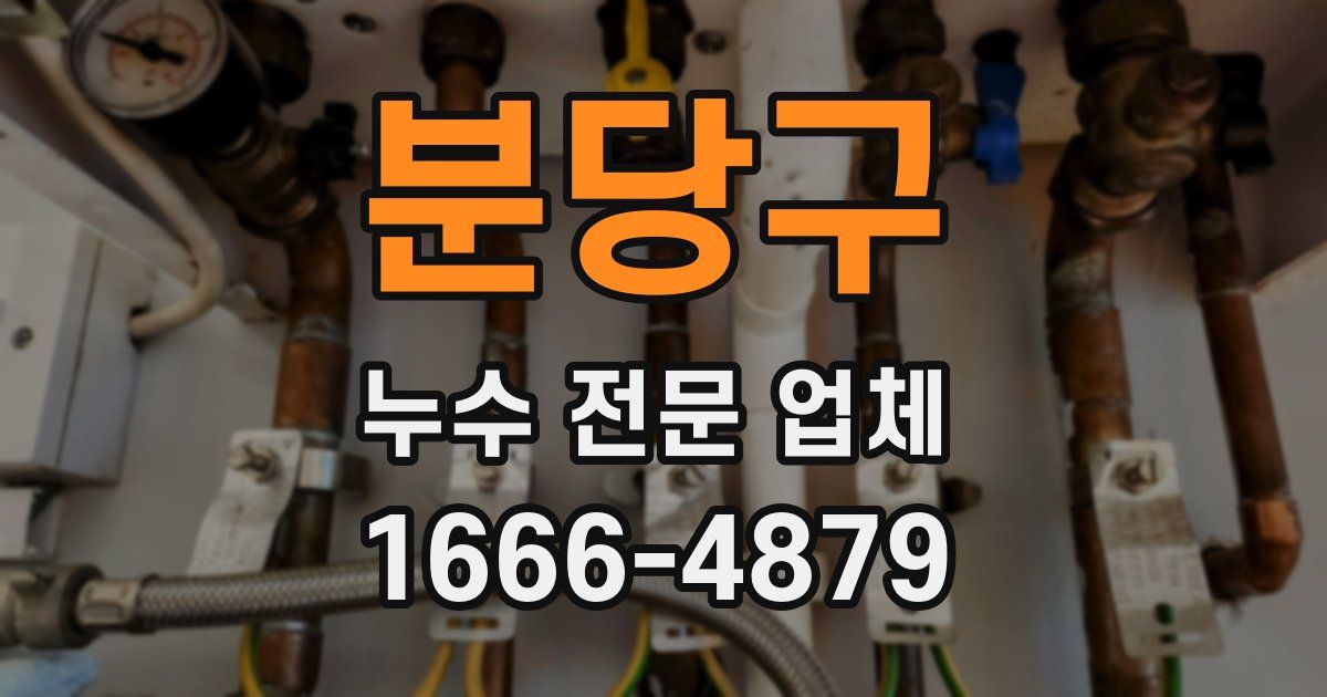 분당구 누수 전문 업체