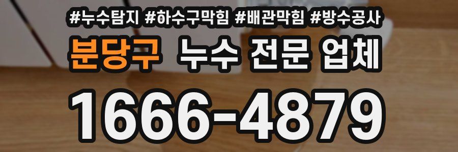 분당구 누수 전문 업체