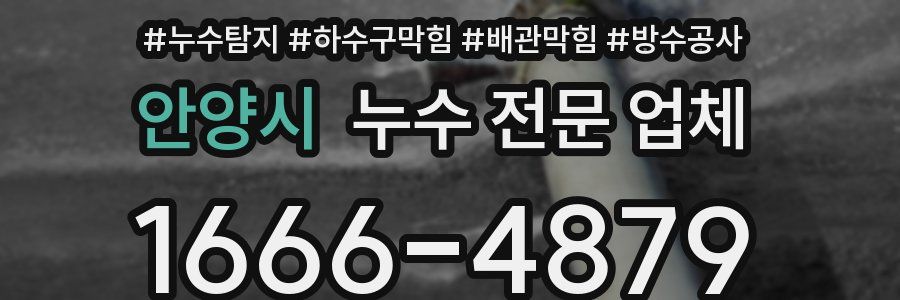 안양시 누수 전문 업체