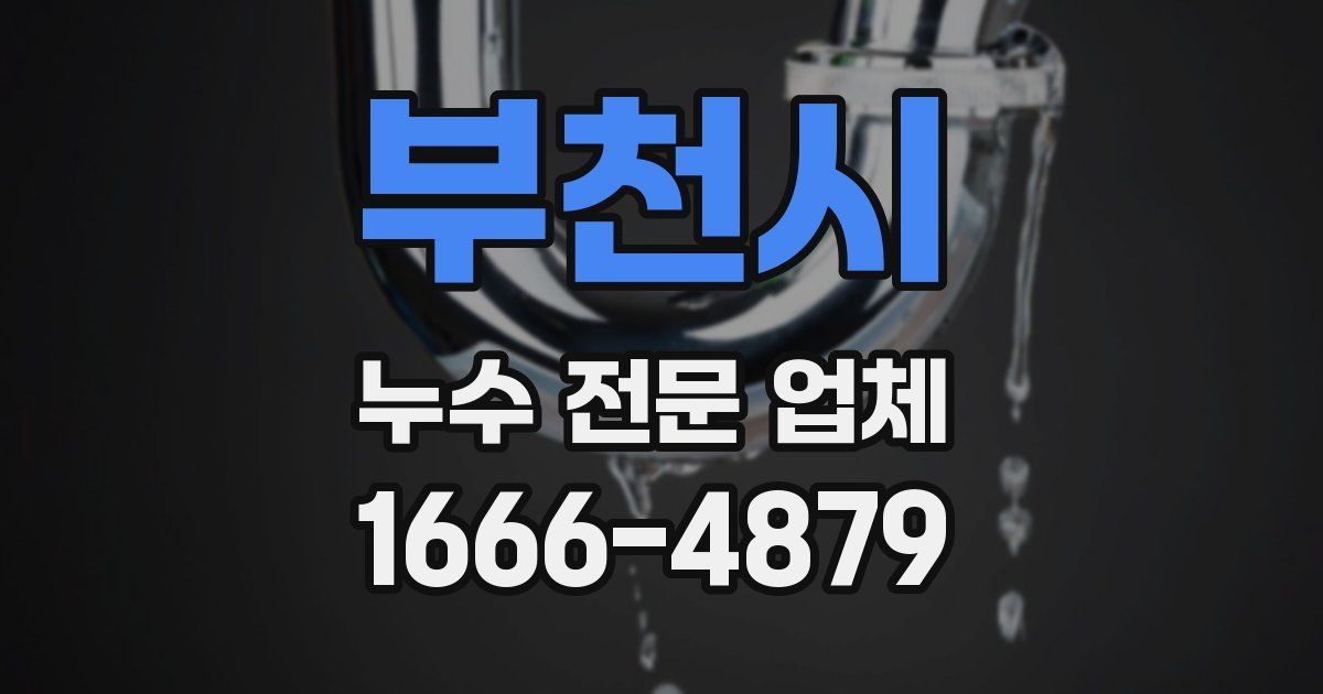 부천시 누수 전문 업체