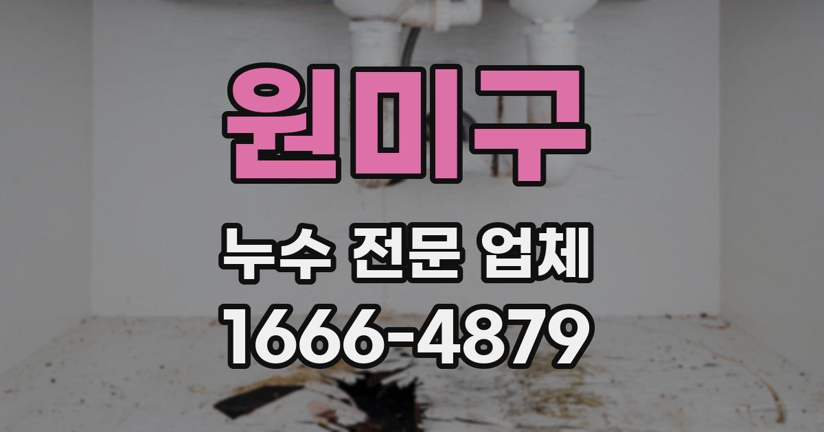 원미구 누수 전문 업체