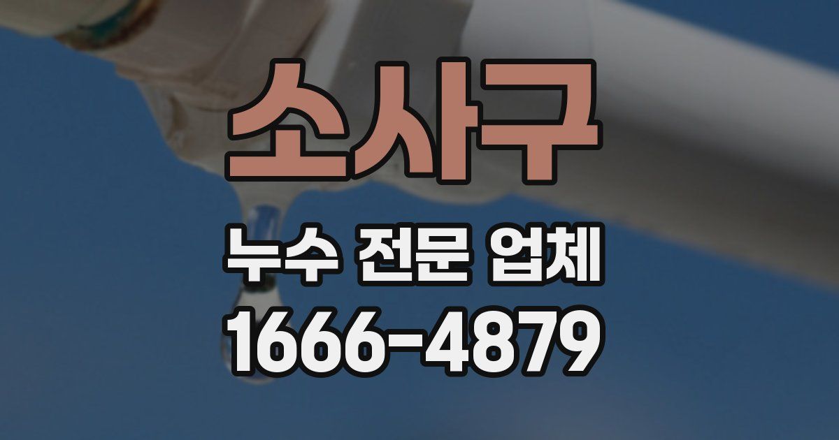 소사구 누수 전문 업체