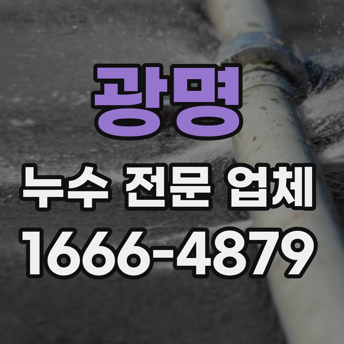 광명 누수 전문 업체